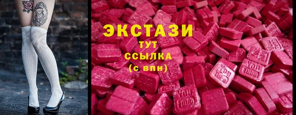 гашик Тайга