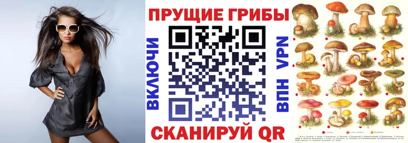 Галлюциногенные грибы мухоморы  Тимашёвск 